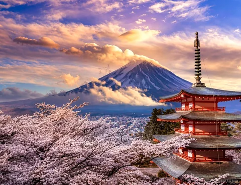 Vue de l'excursion privée au Mont Fuji depuis le lac Kawaguchiko